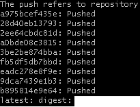 Push to Repo