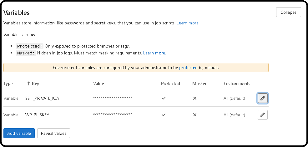 Pipeline variables